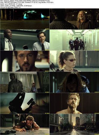Blade Trilogy 720p BRRip x264 AC3 DiVERSiTY