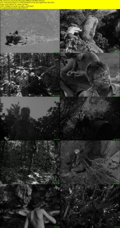 Lord of the Flies 1963 BRRip XviD MP3-XVID