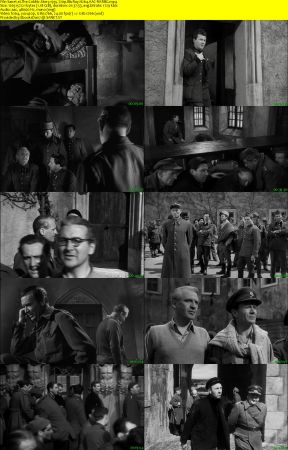 The Colditz Story 1955 720p BluRay H264 AAC-RARBG