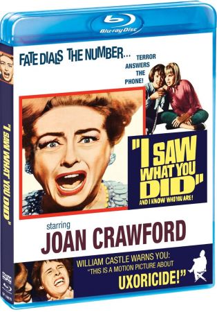 I Saw What You Did 1965 BRRip XviD MP3-XVID