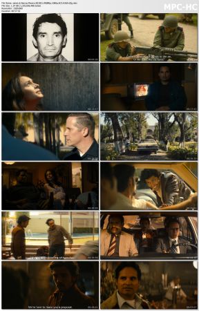 Narcos Mexico S01 WEBRip 1080p AC3 H265-d3g