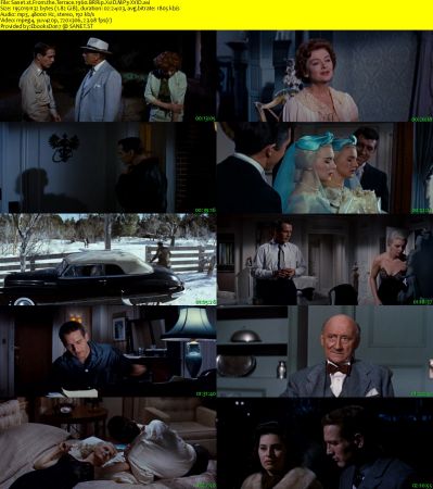 From the Terrace 1960 BRRip XviD MP3-XVID