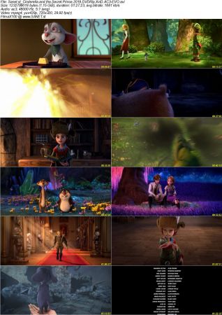 Cinderella and the Secret Prince 2019 DVDRip XviD AC3-EVO