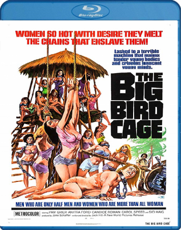 The Big Bird Cage 1972 BRRip XviD MP3-XVID
