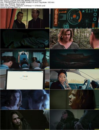 Loophole 2019 720p WEBRip x264-YTS