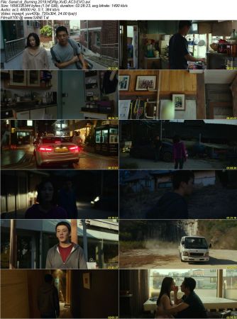Burning 2019 HDRip XviD AC3-EVO