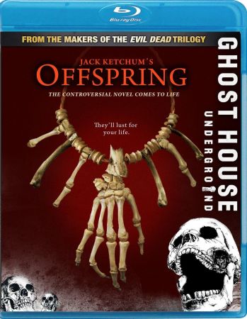 Offspring 2009 Remastered 1080p BluRay x264-OFT