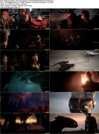 How to Train Your Dragon 3 2019 HDCAM XViD AC3-ETRG