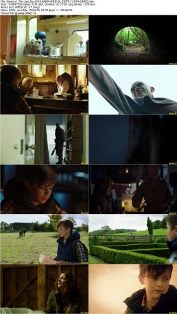 The Last Boy 2019 AMZN WEB-DL DDP5.1 H264-CMRG