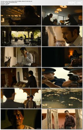 Narcos Mexico S01 WEBRip 1080p AC3 H265-d3g