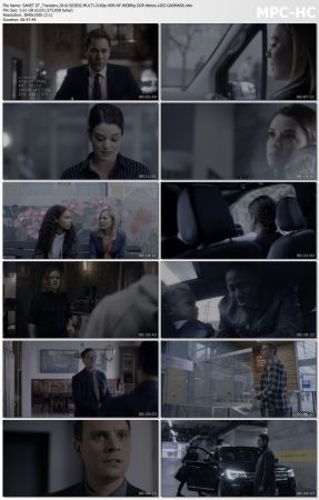 Travelers 2016 S03 MULTI 2160p HDR NF WEBRip DDP Atmos x265-GASMASK