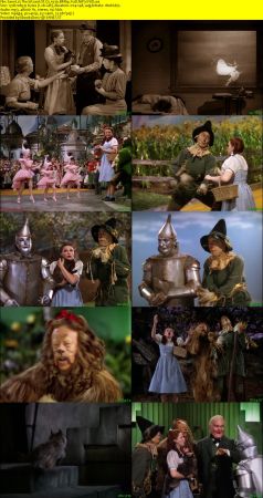 The Wizard Of Oz 1939 BRRip XviD MP3-XVID