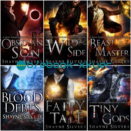 The Temple Chronicles series by Shayne Silvers