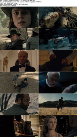 Westworld S02 720p BluRay x264-WiKi