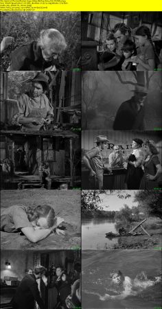 The Southerner 1945 1080p BluRay H264 AAC-RARBG