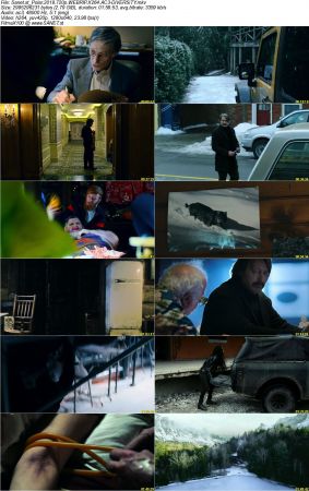 Polar 2019 720p WEBRIP X264 AC3-DiVERSiTY