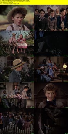 The Adventures of Tom Sawyer 1938 BDRip x264-BiPOLAR