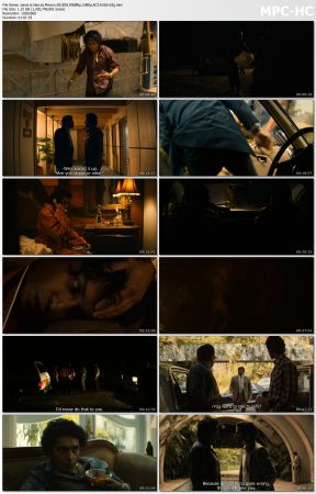 Narcos Mexico S01 WEBRip 1080p AC3 H265-d3g