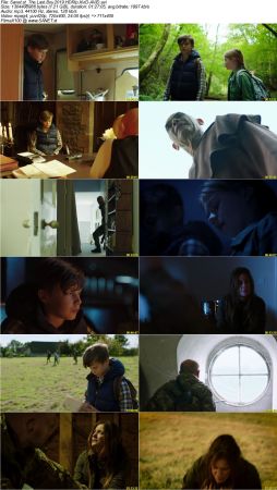 The Last Boy 2019 HDRip XviD-AVID