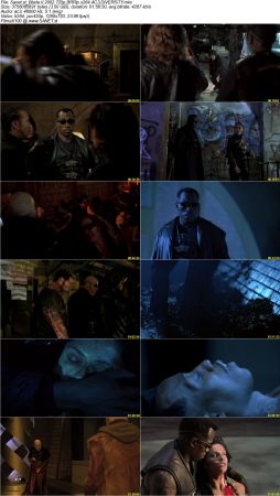 Blade Trilogy 720p BRRip x264 AC3 DiVERSiTY