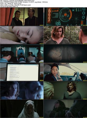 Loophole 2019 WEBRip x264-ION10