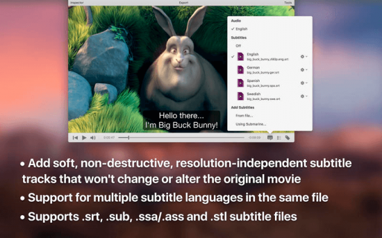 iSubtitle 3.2 Multilingual macOS