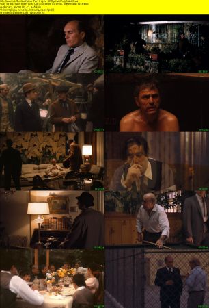The Godfather Part II 1974  BRRip Xvid Ac3 SNAKE