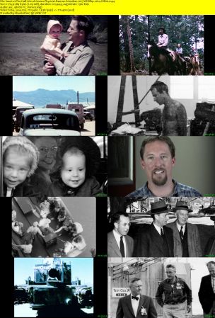 The Half-Life of Genius Physicist Raemer Schreiber 2017 WEBRip x264-ION10