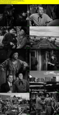 Union Pacific 1939 1080p BluRay H264 AAC-RARBG