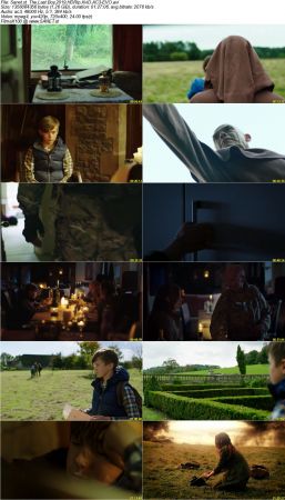 The Last Boy 2019 HDRip XviD AC3-EVO