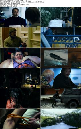 Polar 2019 WEBRip x264-FGT