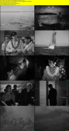 The Hurricane 1937 BRRip XviD MP3-XVID