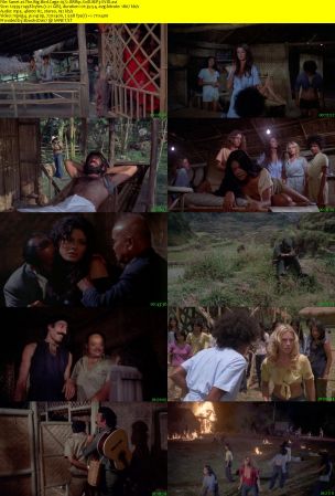 The Big Bird Cage 1972 BRRip XviD MP3-XVID