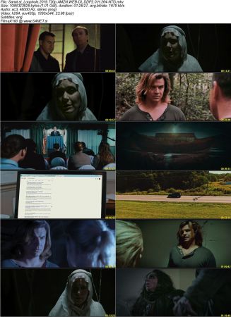 Loophole 2019 720p AMZN WEBRip DDP2.0 x264-NTG
