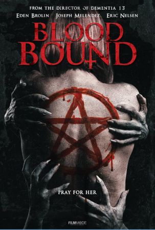 Blood Bound 2019 1080p WEB-DL H264 AC3-EVO