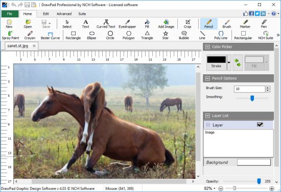 NCH DrawPad Pro 10.43 for windows download free