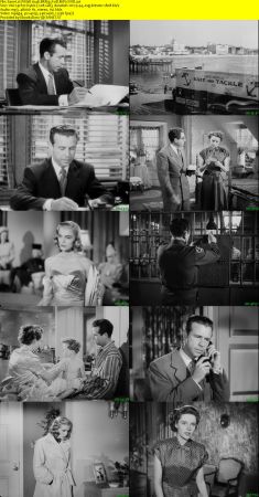 Pitfall 1948 BRRip XviD MP3-XVID