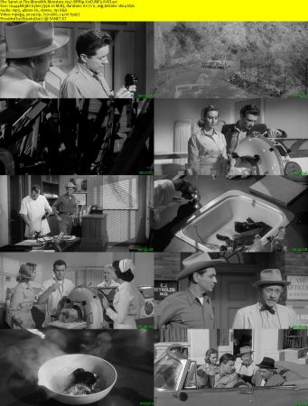 The Monolith Monsters 1957 BRRip XviD MP3-XVID