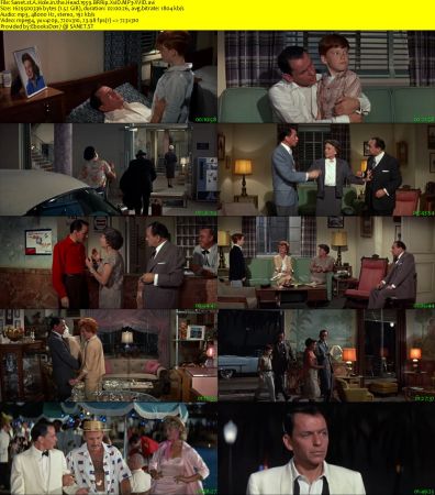 A Hole in the Head 1959 BRRip XviD MP3-XVID