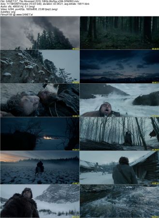 Leonardo DiCaprio Pack 1080p BluRay DTS x264-TD