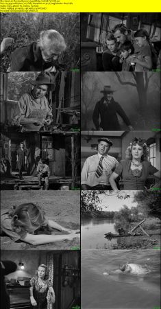 The Southerner 1945 BRRip XviD MP3-XVID