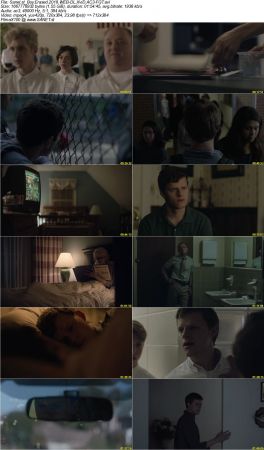 Boy Erased 2018 WEB-DL XviD AC3-FGT