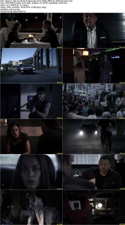 The Car Road To Revenge 2019 1080p WEB-DL H264 AC3-eSc