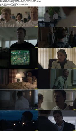 Boy Erased 2019 1080p WEB-DL DD5.1 H264-CMRG
