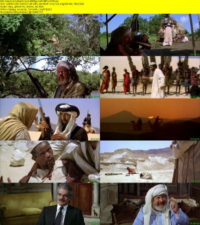 Ashanti 1979 BRRip XviD MP3-XVID