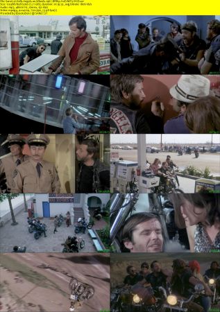 Hells Angels on Wheels 1967 BRRip XviD MP3-XVID