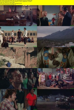 The Trial of Billy Jack 1974 1080p BluRay H264 AAC-RARBG