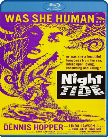 Night Tide 1961 BRRip XviD MP3-XVID