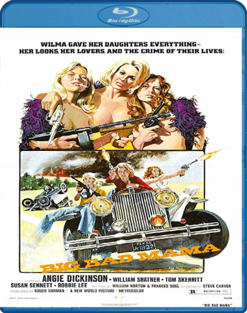 Big Bad Mama 1974 BRRip XviD MP3-XVID