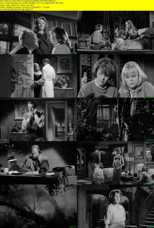 I Saw What You Did 1965 BRRip XviD MP3-XVID